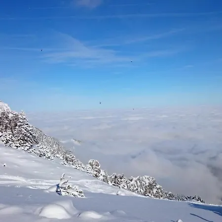 Haus Martinsklause * Musau